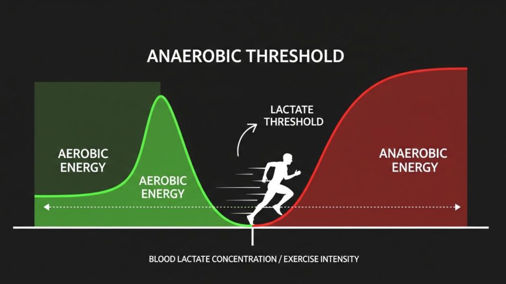 What Is Anaerobic Threshold